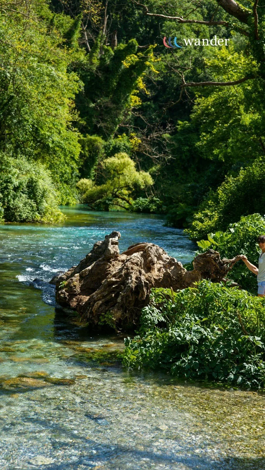 A person standing on a lush green riverside, holding a large fallen tree trunk near clear flowing water, surrounded by dense green trees and foliage.