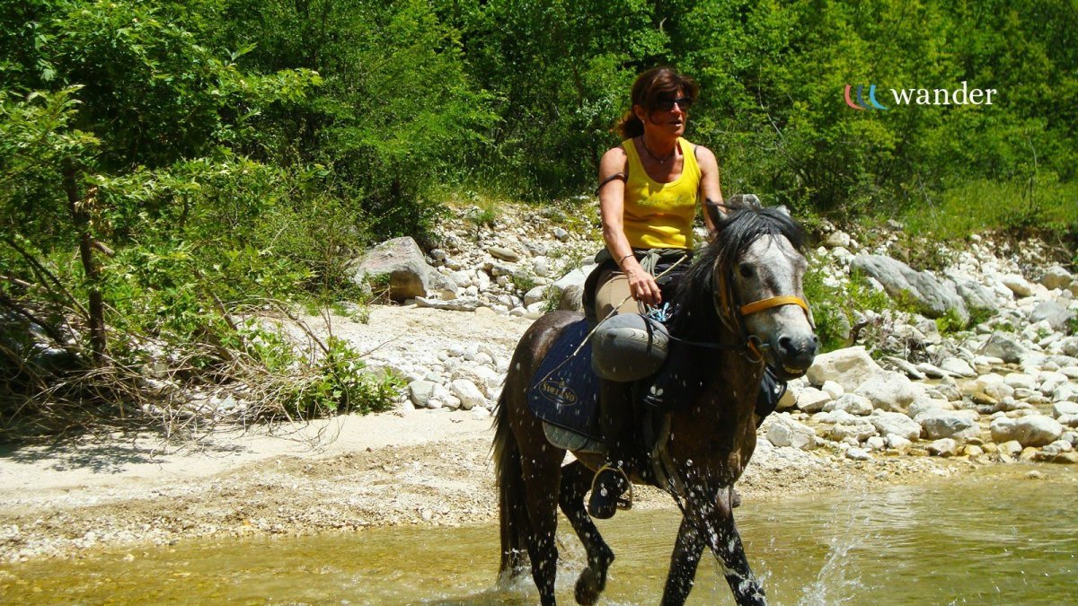 A woman riding a brown and white horse through a shallow stream in a forest with green foliage.