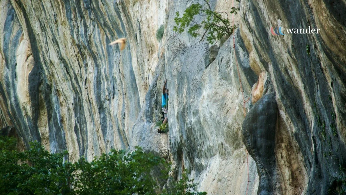 A rock climber scaling a steep, striped rock face with trees at the top and greenery at the bottom.