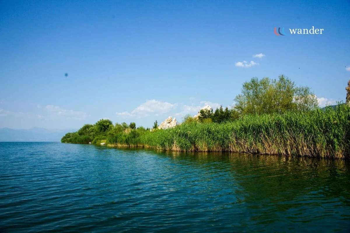 A scenic view of a lake with clear blue water, green grass and trees along the shoreline, and a partly cloudy sky with the word 'wander' in the top right corner.