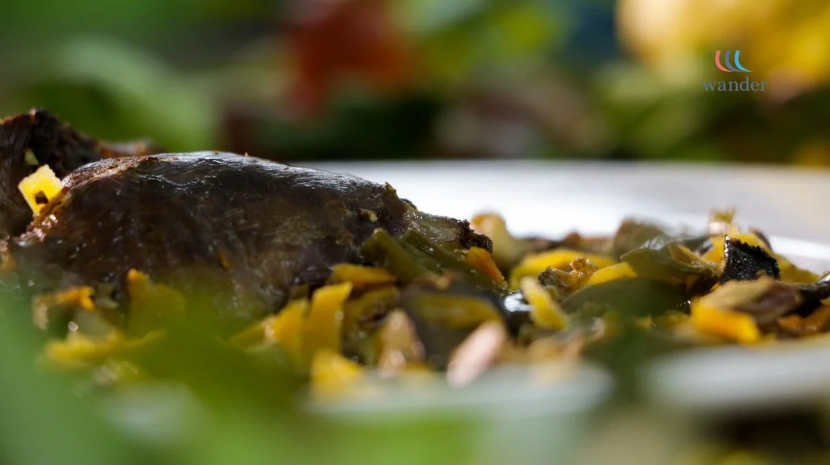 Close-up of cooked meat with vegetables on a white plate, with blurred greenery background.