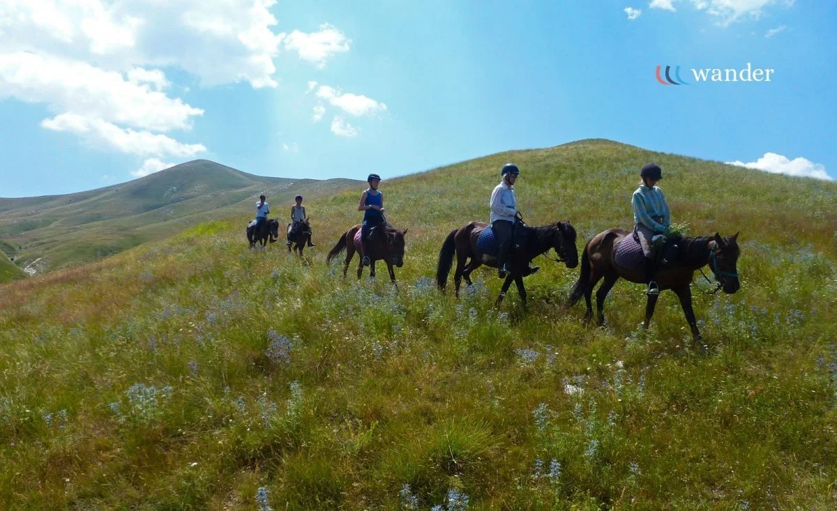 Five people riding horses across a grassy hillside under a partly cloudy sky.