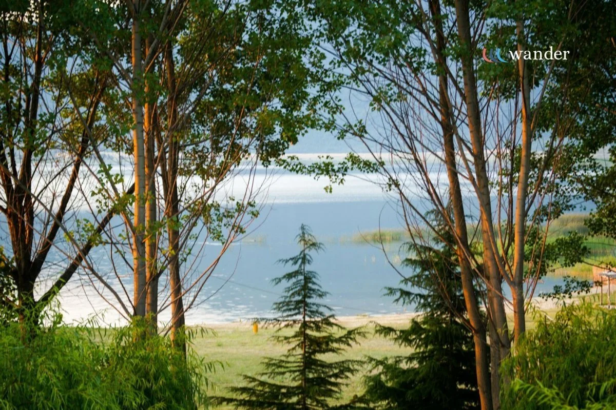 View of a lake framed by trees with green and brown leaves, some conifers, and a grassy area near the water, with a cloudy sky.