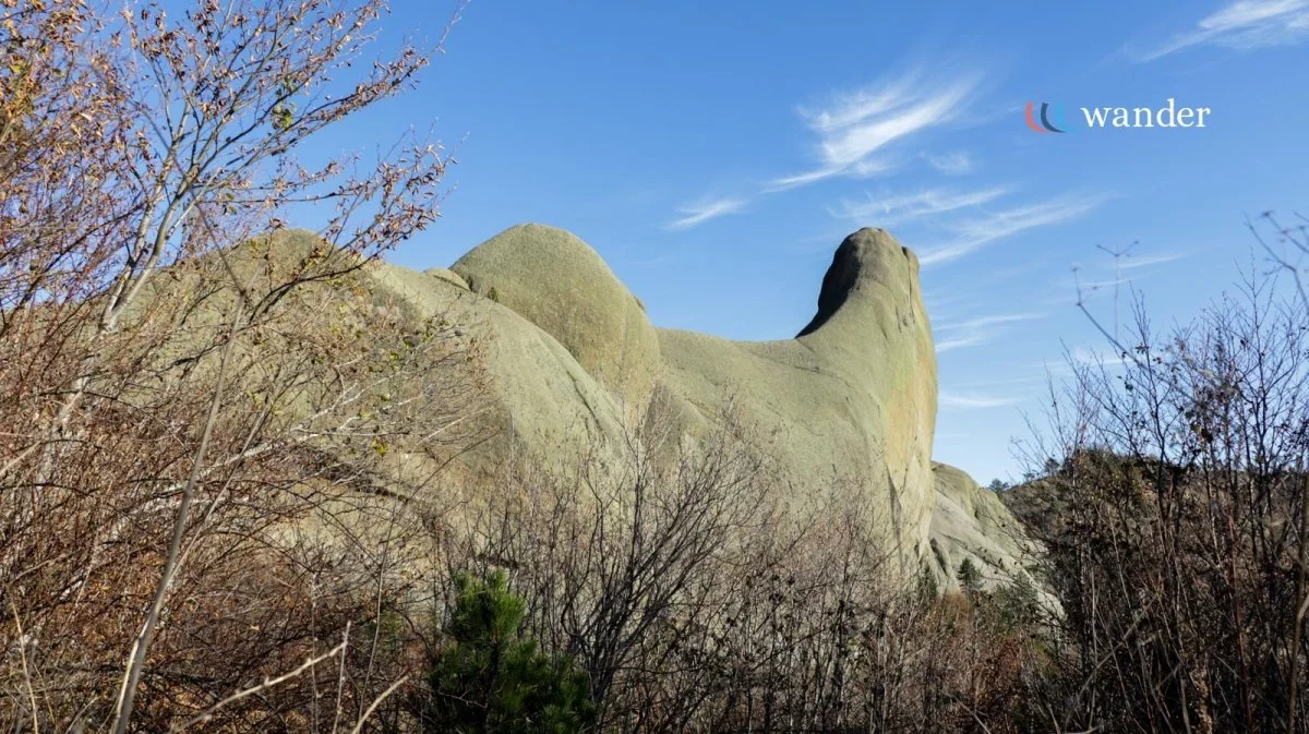 Large rock formations with sparse trees and shrubs in foreground under a bright blue sky with wispy clouds, and the word 'wander' in the top right corner.