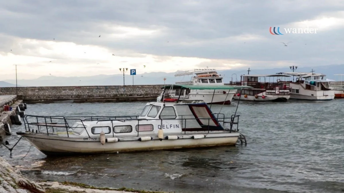 Boats docked at a harbor with cloudy sky and seagulls flying overhead.