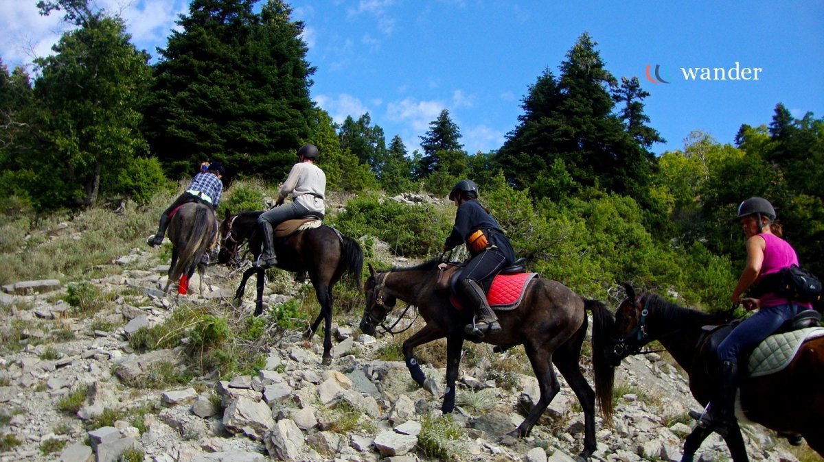 Four people riding horses uphill on a rocky trail surrounded by trees and green foliage in a mountainous area on a sunny day.