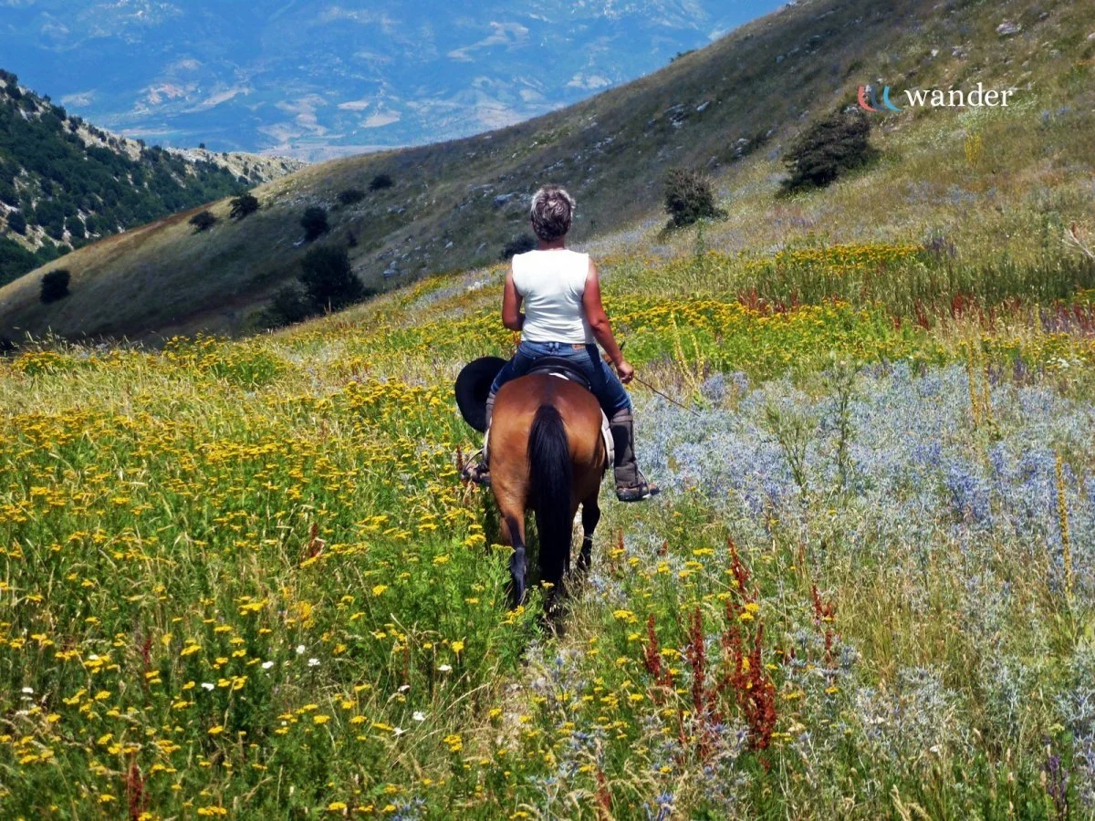 Person riding a horse through a colorful wildflower meadow in mountainous terrain under a blue sky.
