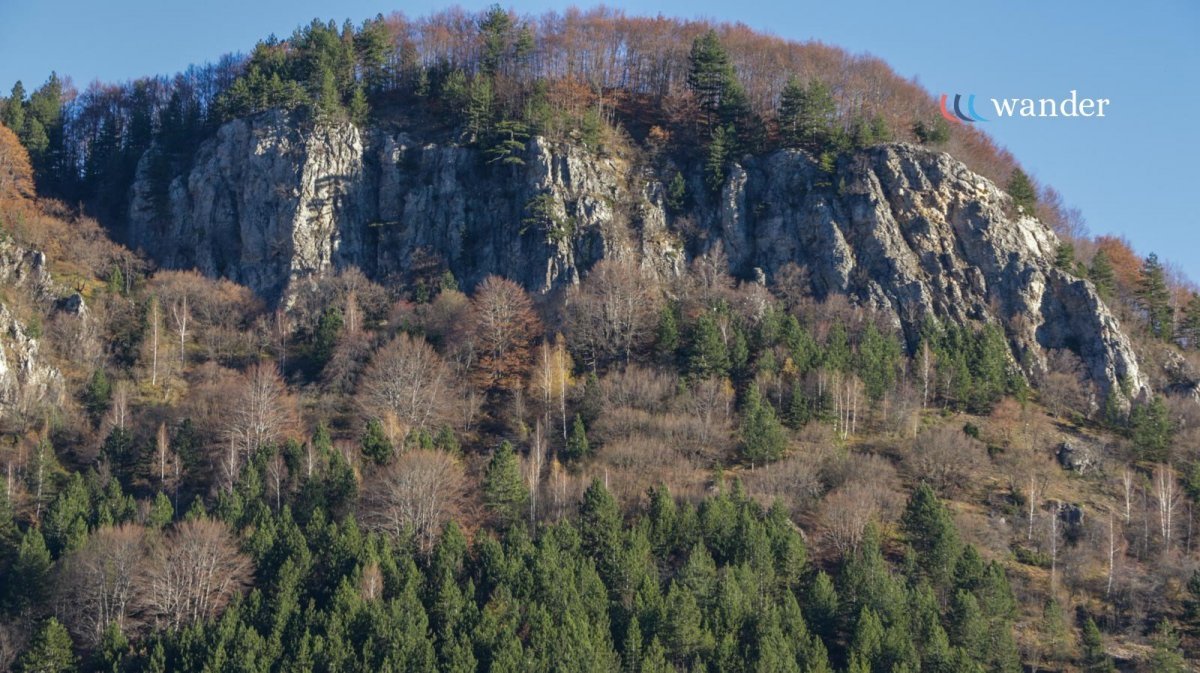 A mountain with rocky cliffs and sparse forest at the top, with dense green trees at the base, under a clear blue sky.