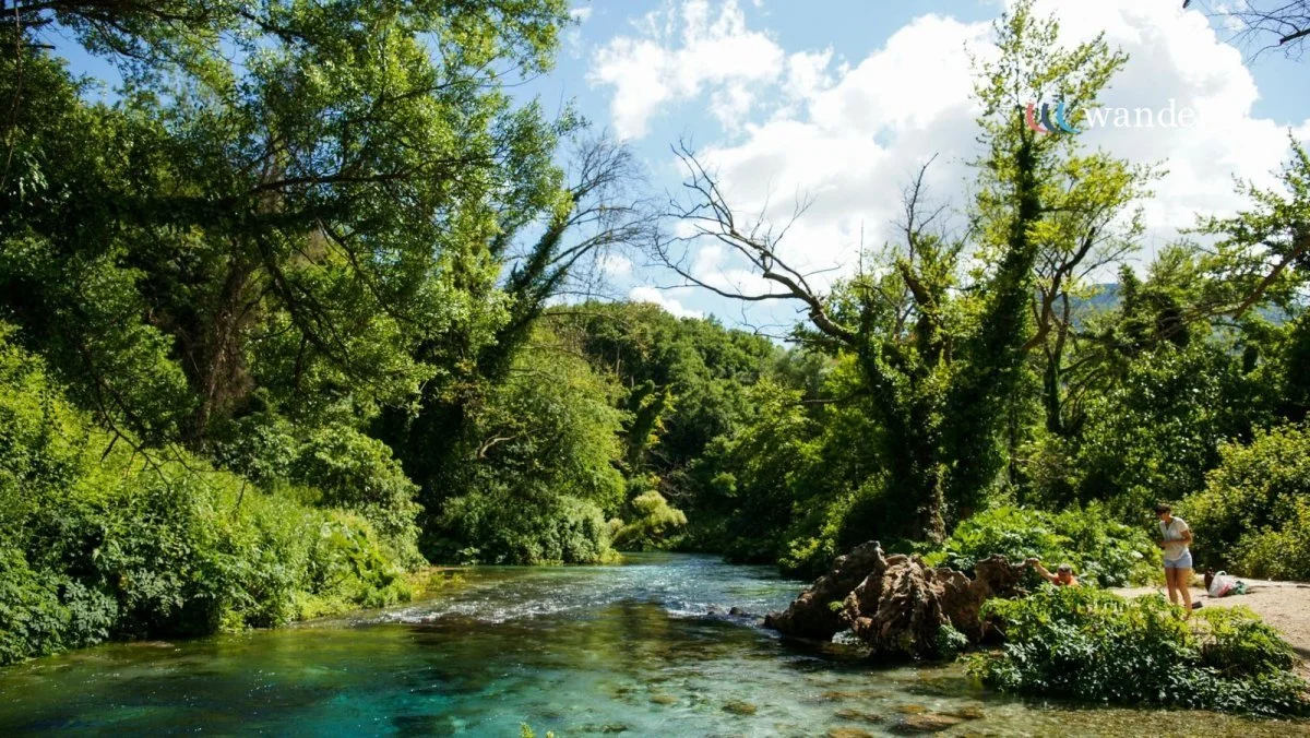 A scenic river flowing through a lush green forest under a partly cloudy sky.