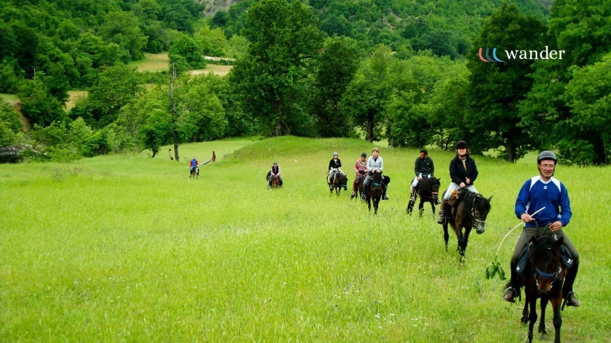 Group of people riding horses through a lush green field with trees in the background.