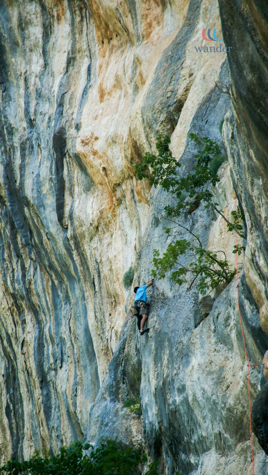 A person rock climbing on a tall, colorful rock face with streaks of various shades, and some green trees at the base and growing from cracks in the rock.