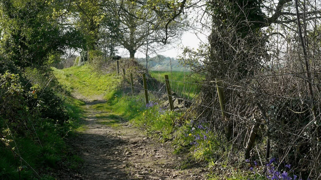 Path with Fence Boundary