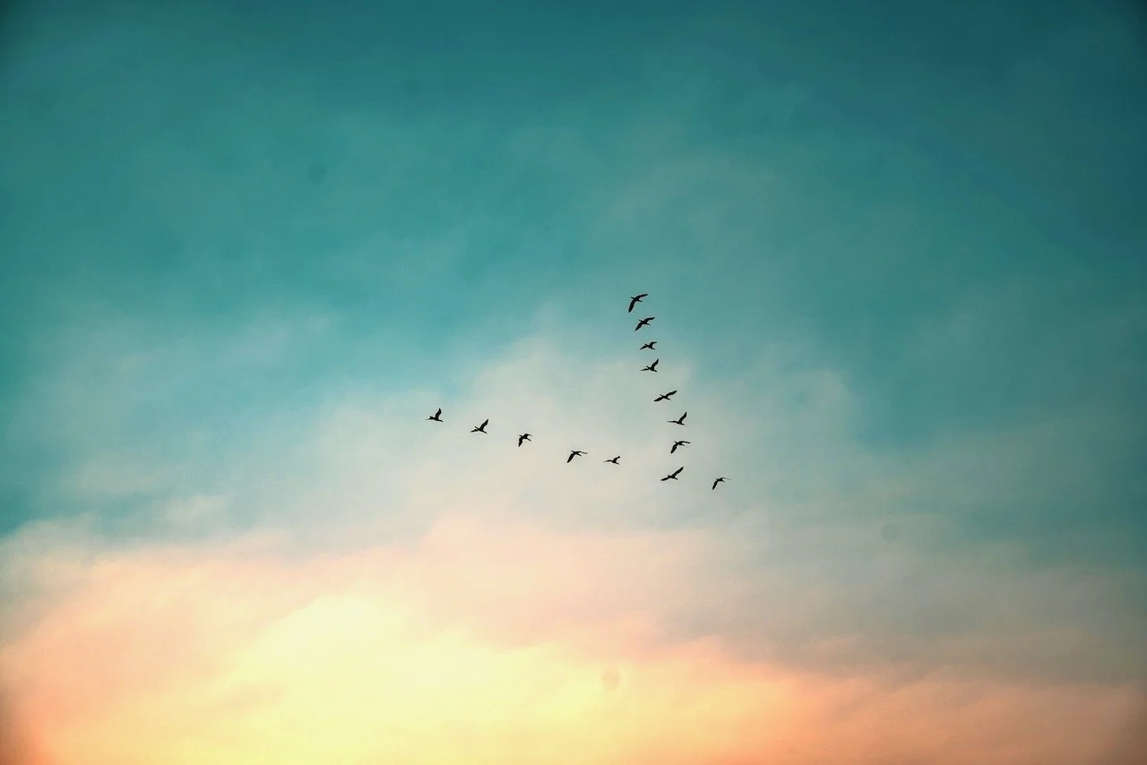 How Do You Overcome Loneliness?