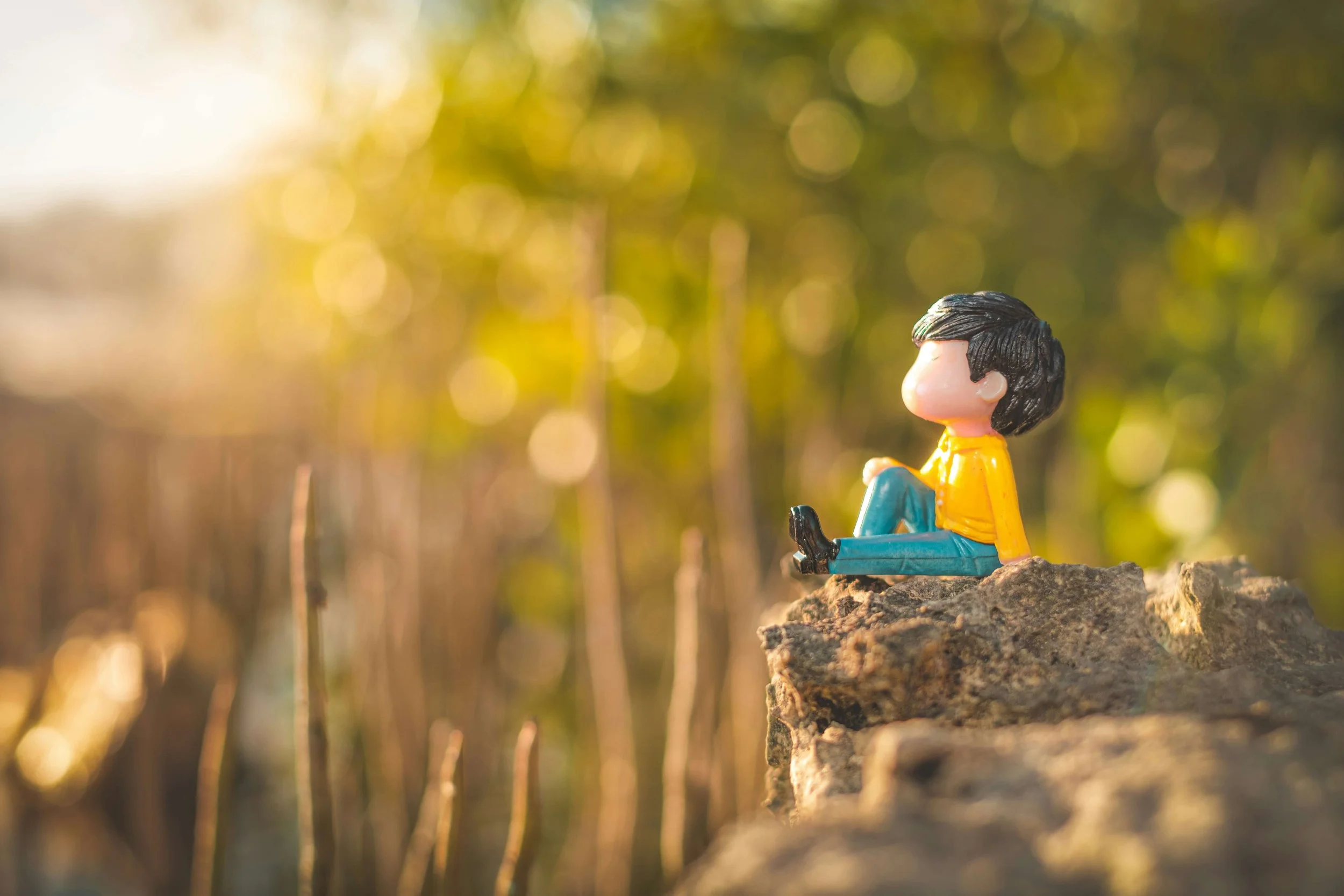 Toy looking hopefully forward toward the sunshine
