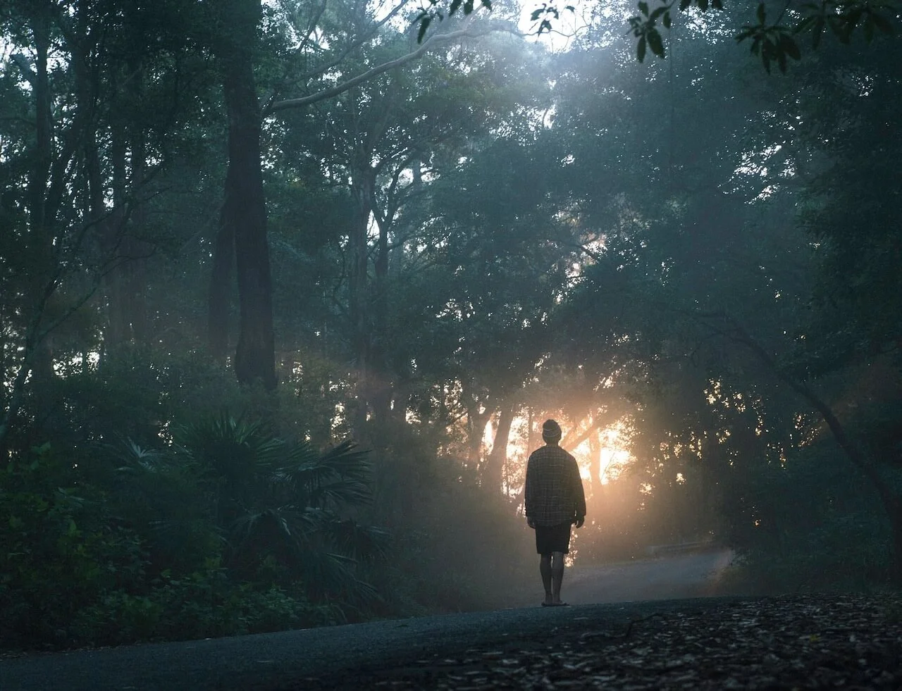 man walking dim road toward sunlight like moving toward trauma healing