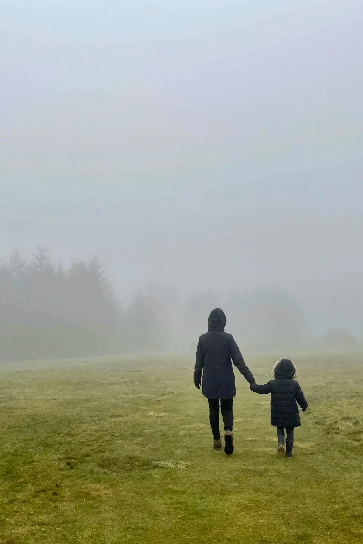 Mother and child wearing dark raincoats and walking hand-in-hand on a grassy field through foggy weather, with trees visible in the distance.