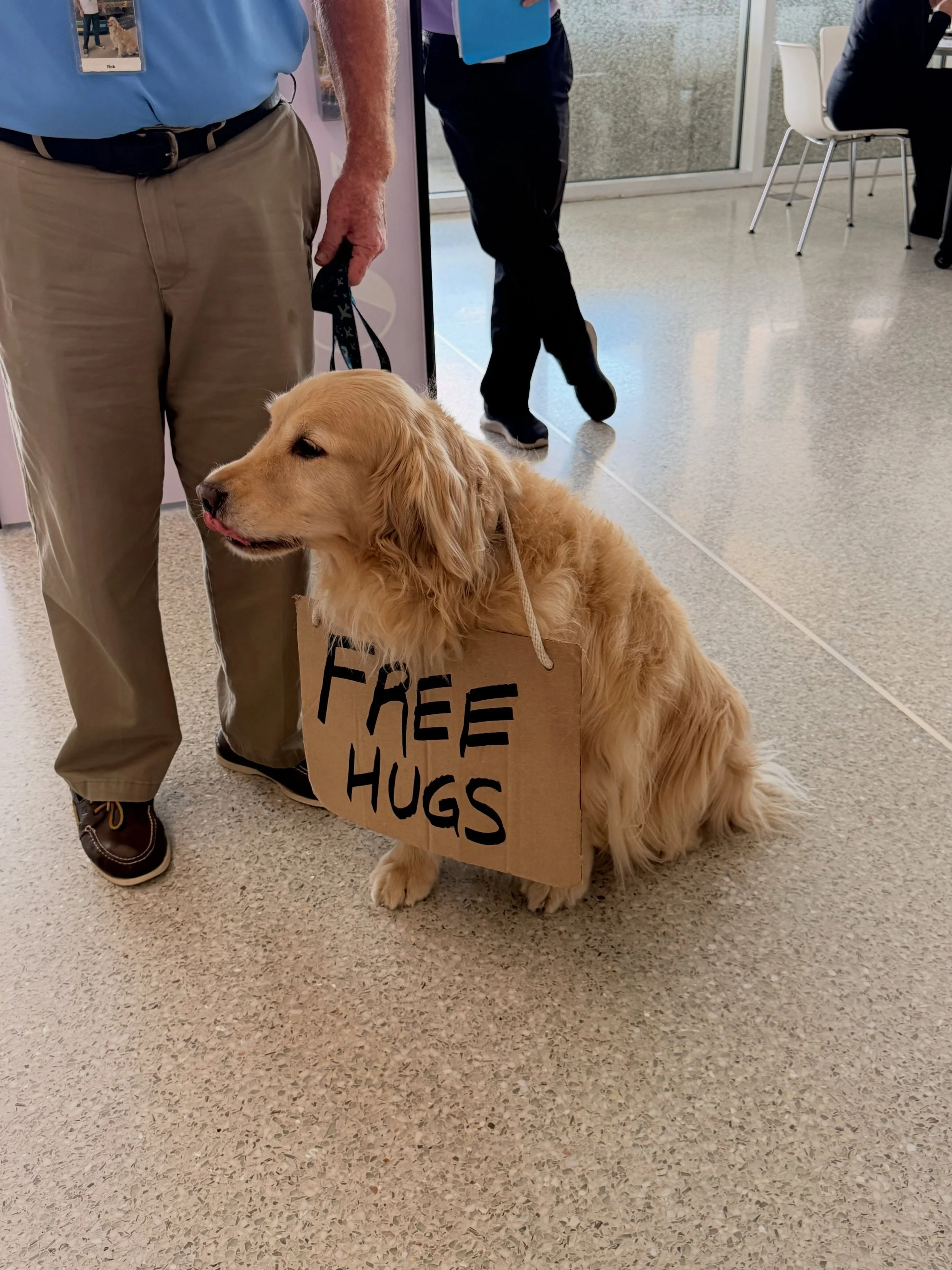 Where did I go for vacation?!? Well, if you know which airport this dog is in&hellip;.thats where I went!