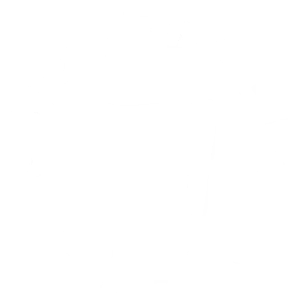 Logo with the words "Snow Veterans Brooklyn" surrounding a flag with "TGF" on it