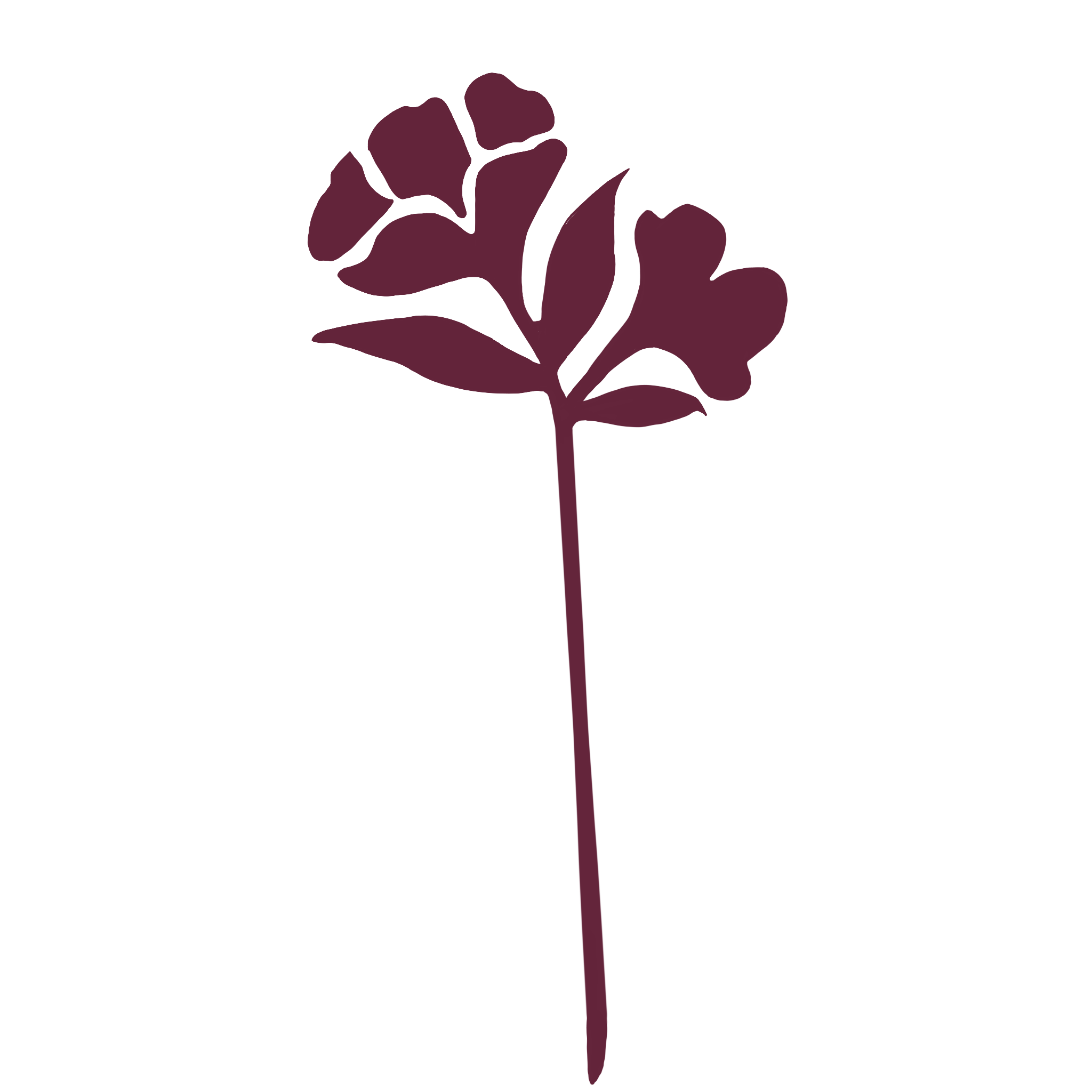 Silhouette of a single dark purple flower with multiple leaves on a long stem.