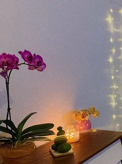 A potted orchid with purple flowers and green leaves, a small stack of smooth stones, and a pink vase with yellow roses, with fairy lights in the background.