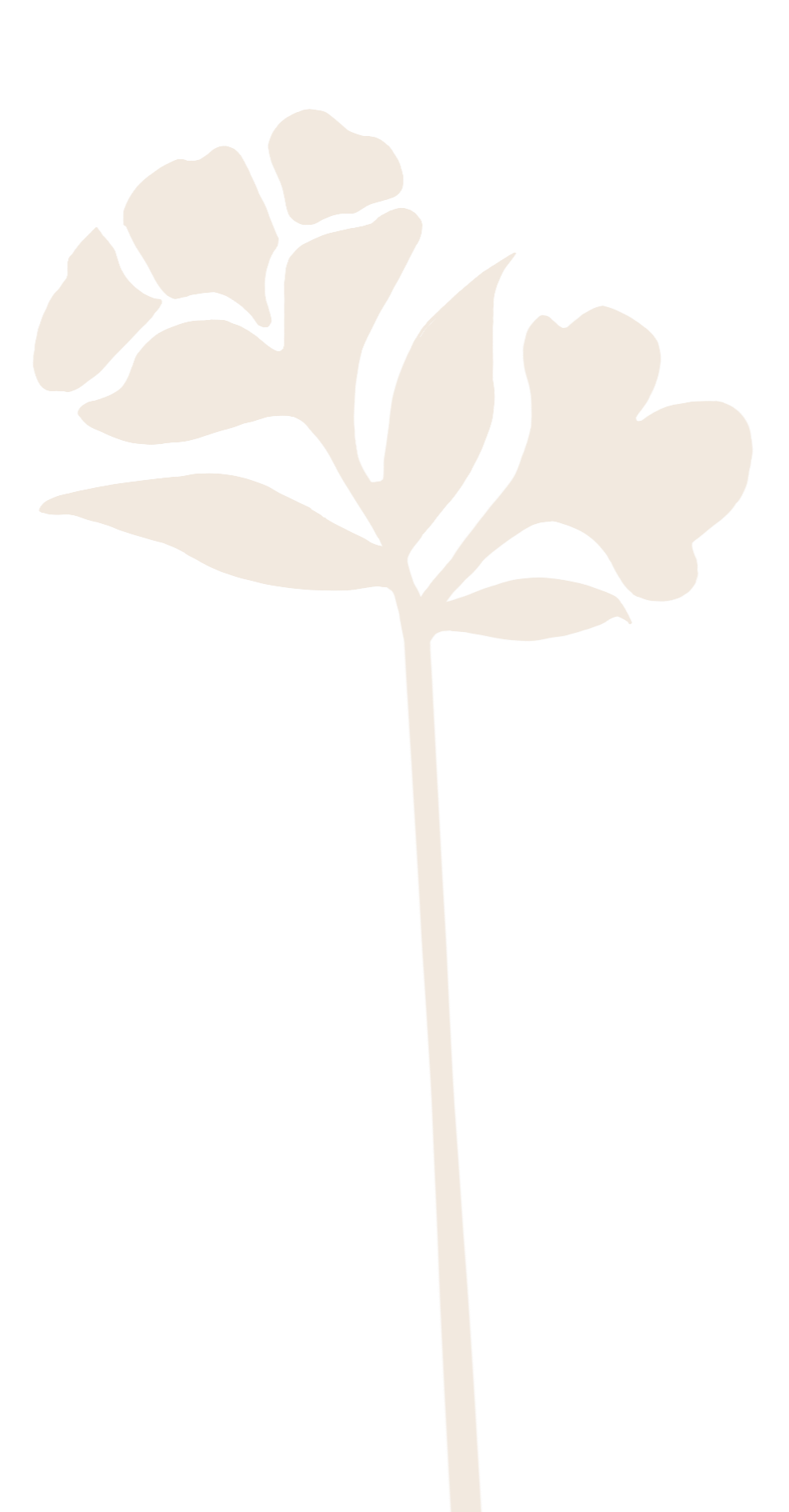 A white silhouette of a small flower with five rounded petals, leaves, and a long stem against a black background.