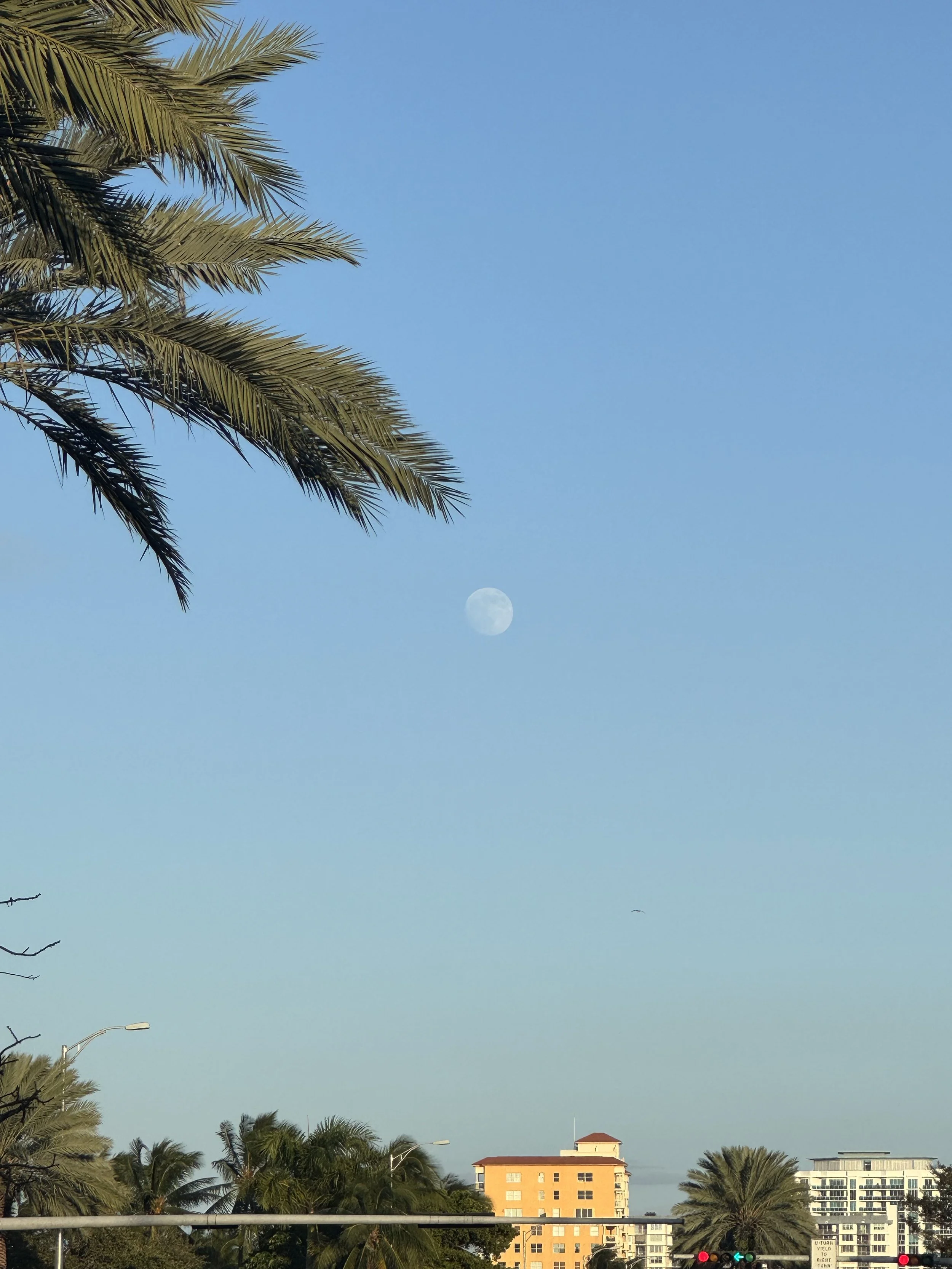 A daytime scene with a clear blue sky, visible moon, palm trees, and buildings in the background, including a yellow building and a modern white building.