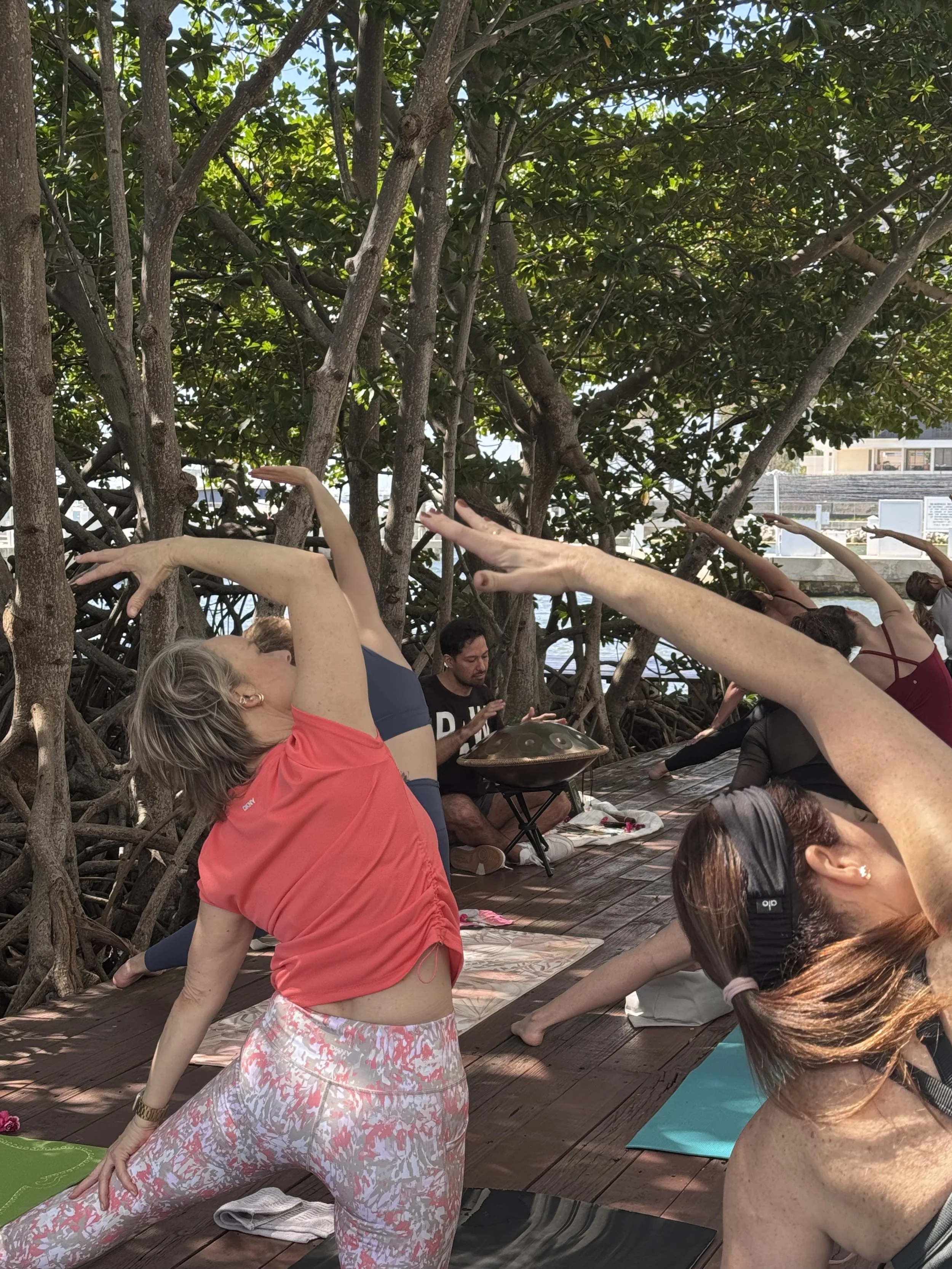 People practicing yoga outdoors on a wooden deck near a tree with dense foliage, with a musician playing a handpan in the background.
