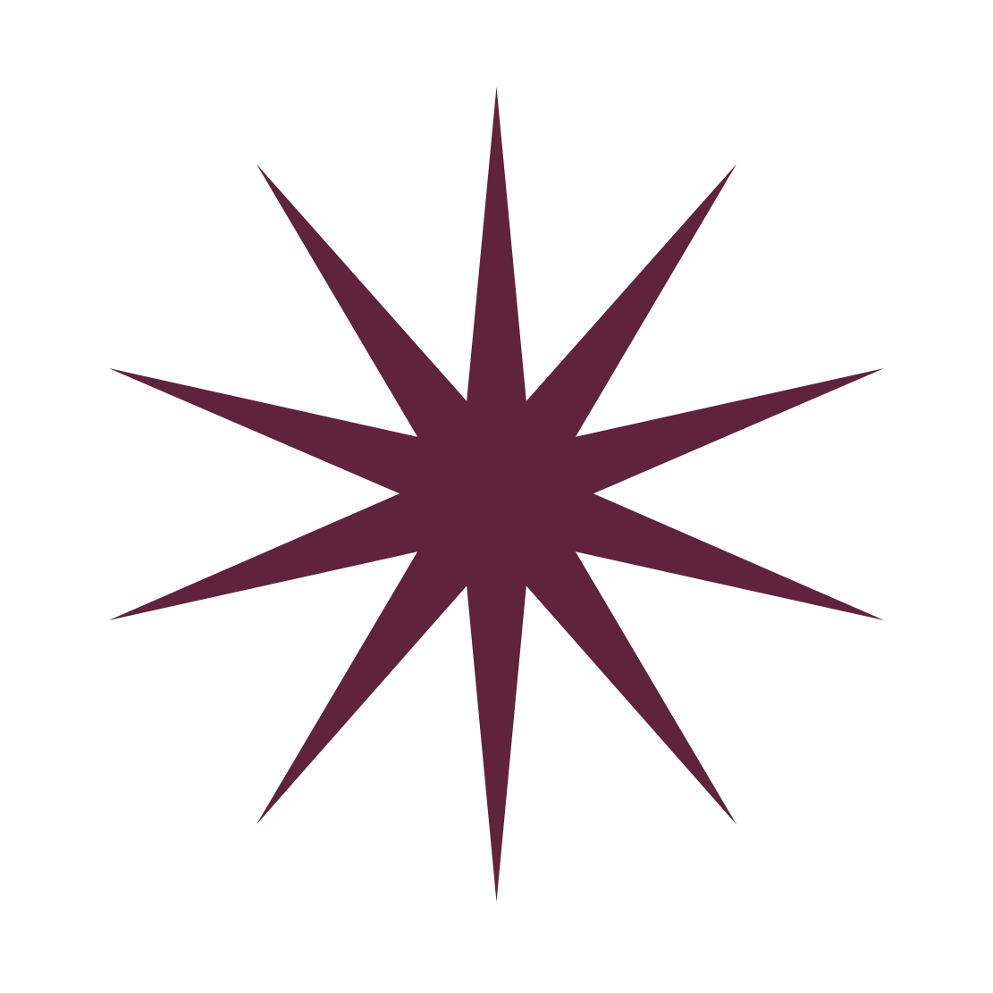 A dark purple, star-shaped graphic with multiple elongated points on a black background.