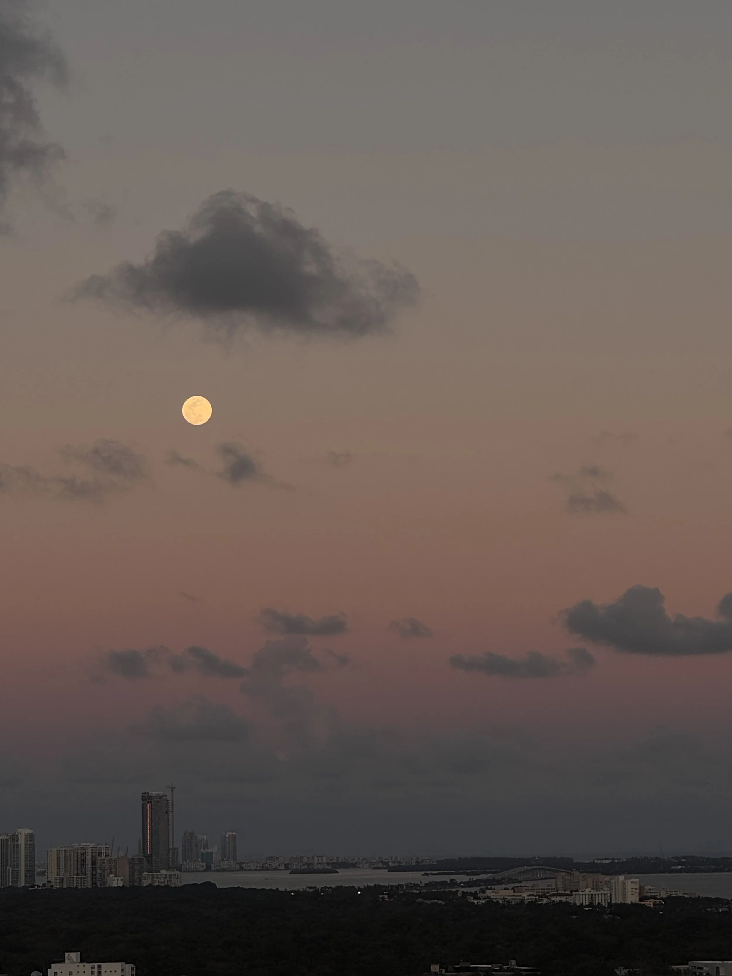 A city skyline with tall buildings near a body of water at dusk. The sky is painted with pink and purple hues, and the moon is visible among scattered dark clouds.