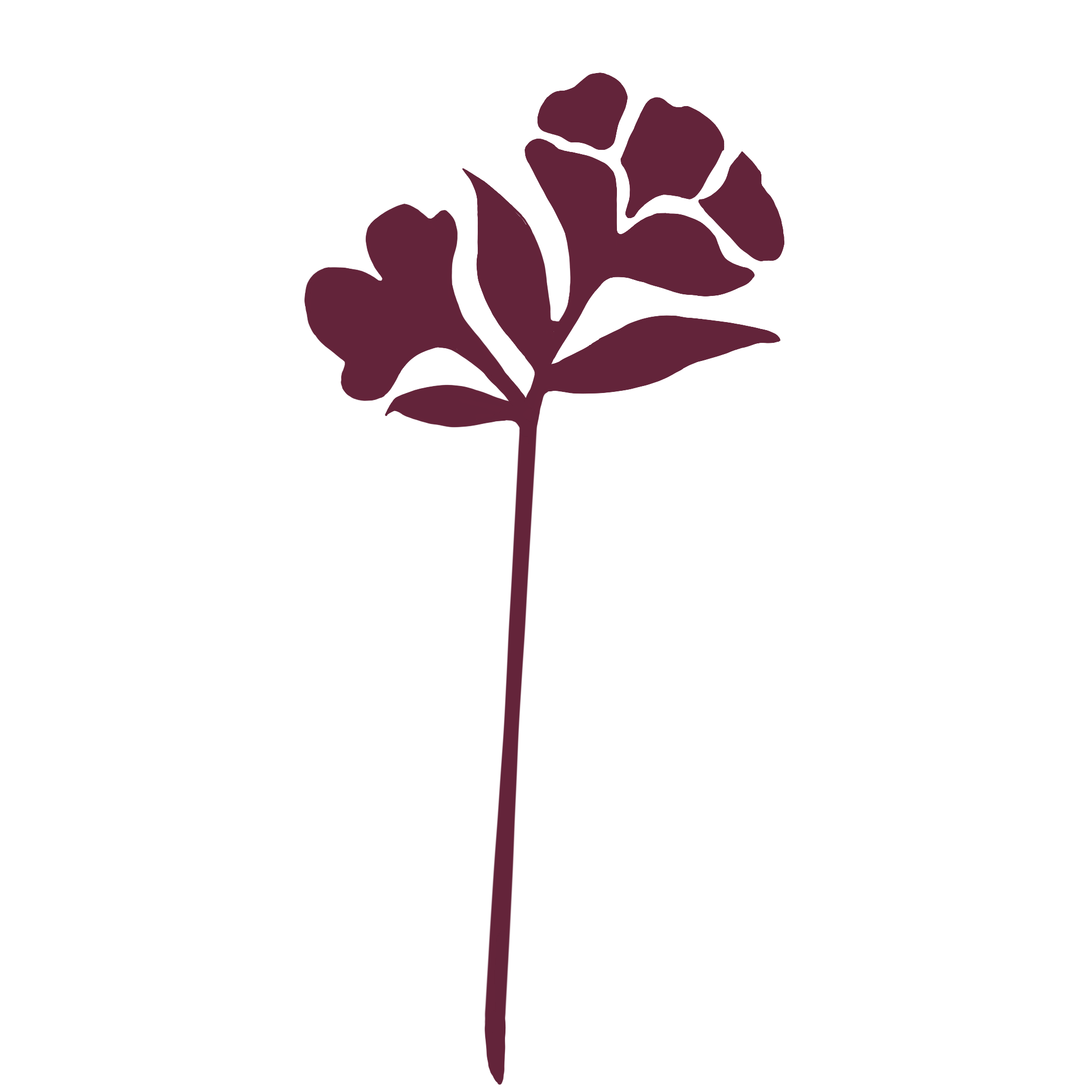 A minimalist illustration of a dark purple flower with a long stem and multiple petals, set against a black background.