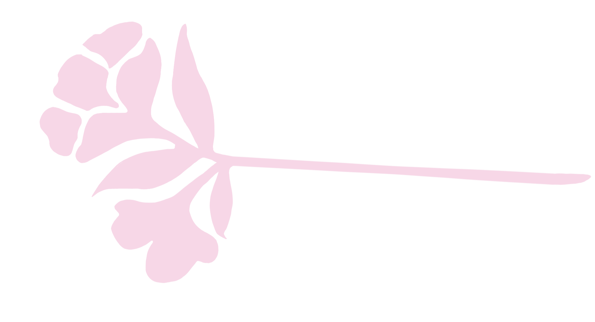 Light purple silhouette of a flower with multiple petals and a long stem, set against a black background.