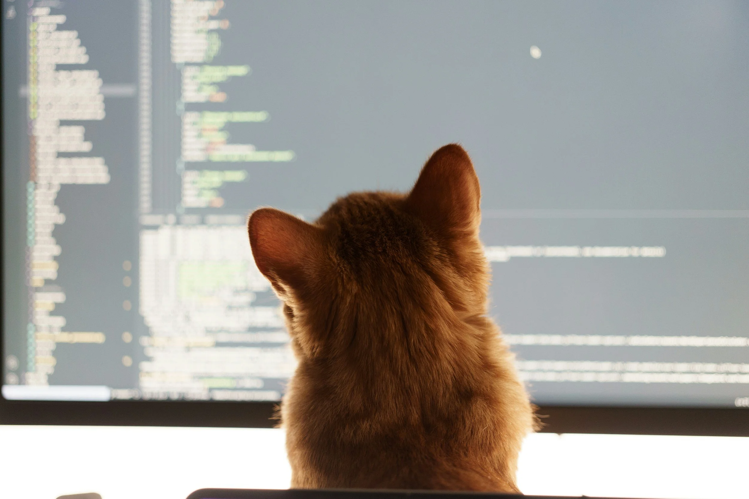Being A Great Developer Is More Than Just Code Output - Code Reviews