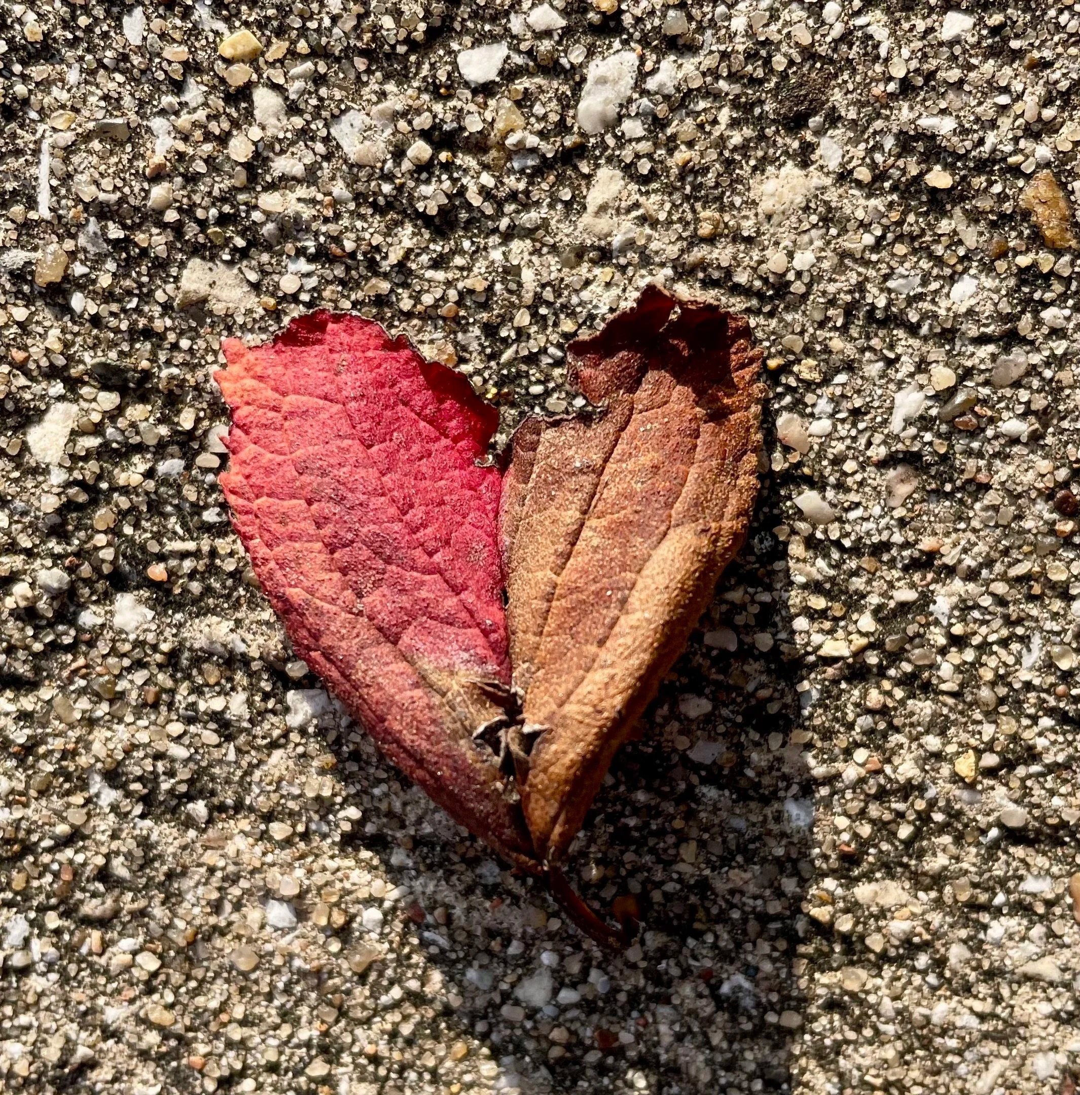 What is Grace?</span>