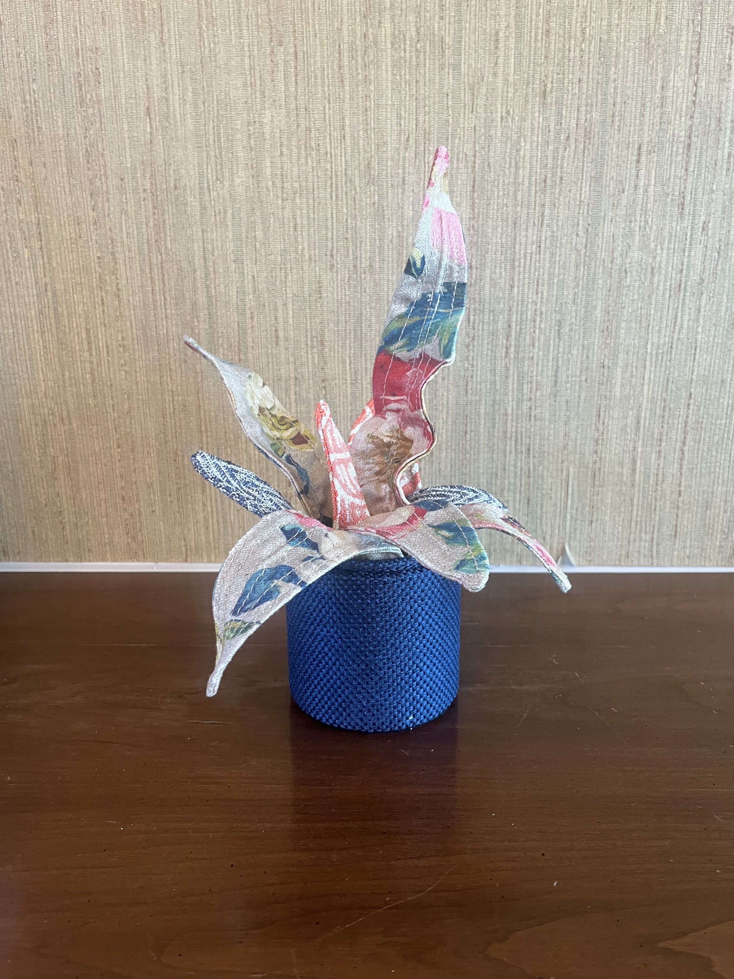 Blue and Orange Snake Plant