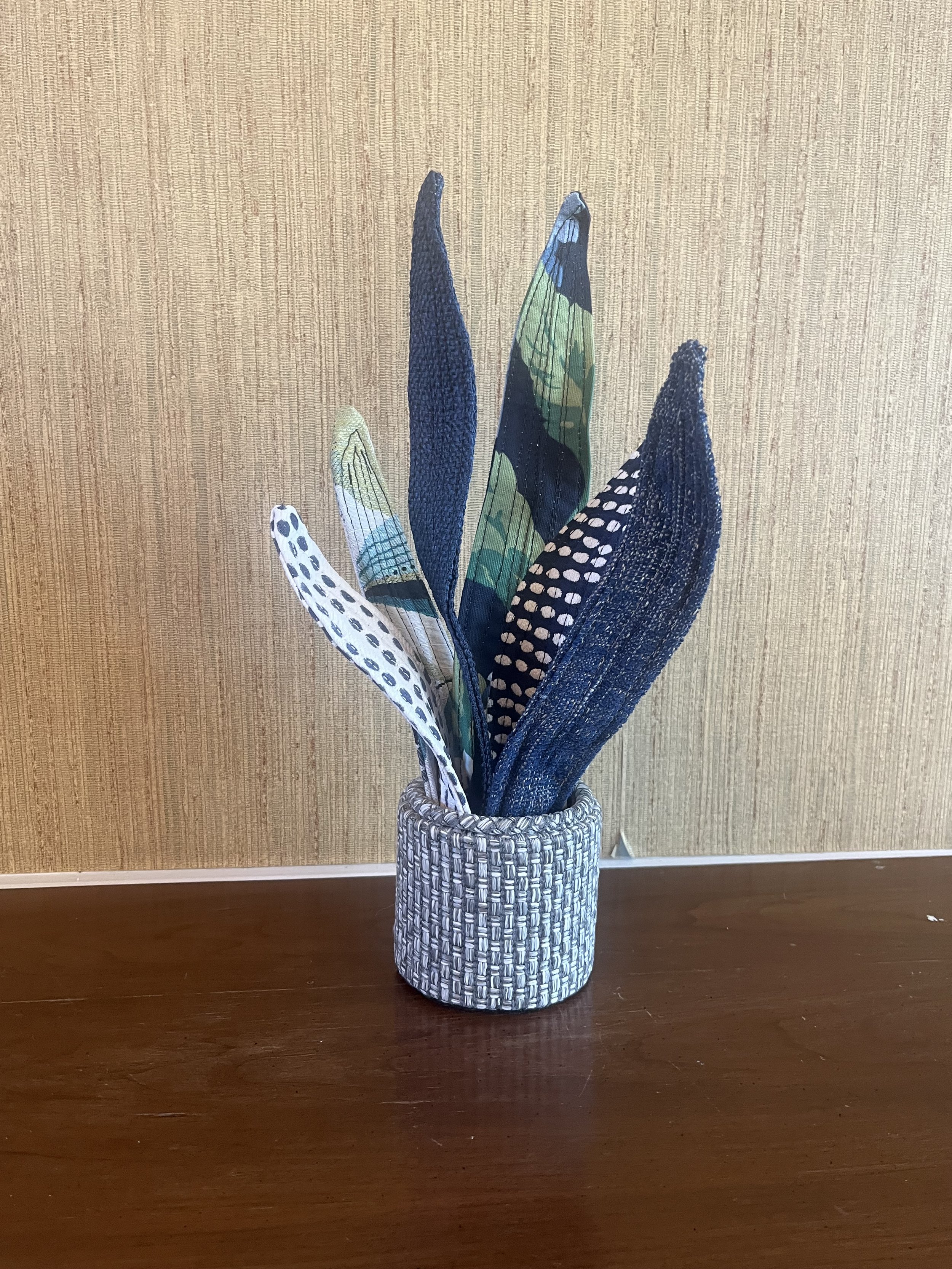 Blue/Grey Snake Plant
