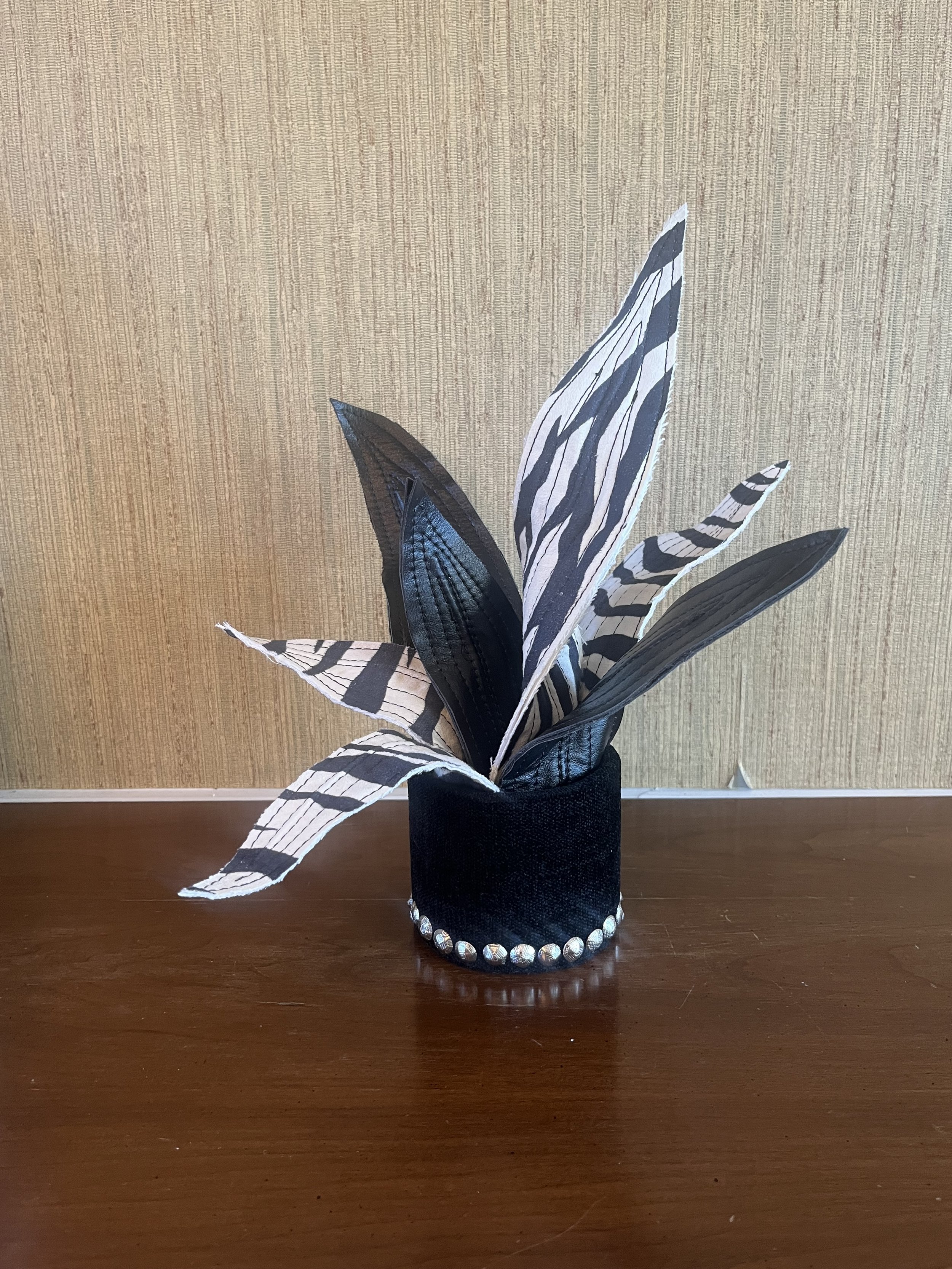 Leather and Suede Zebra Snake Plant