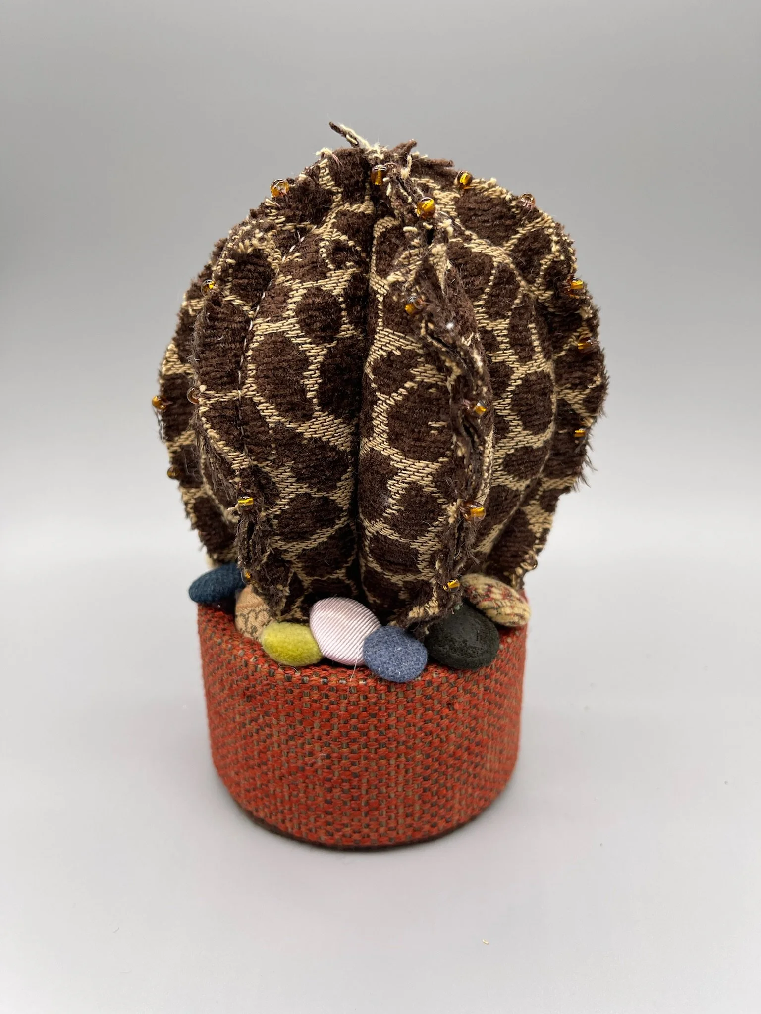 Barrel Cactus