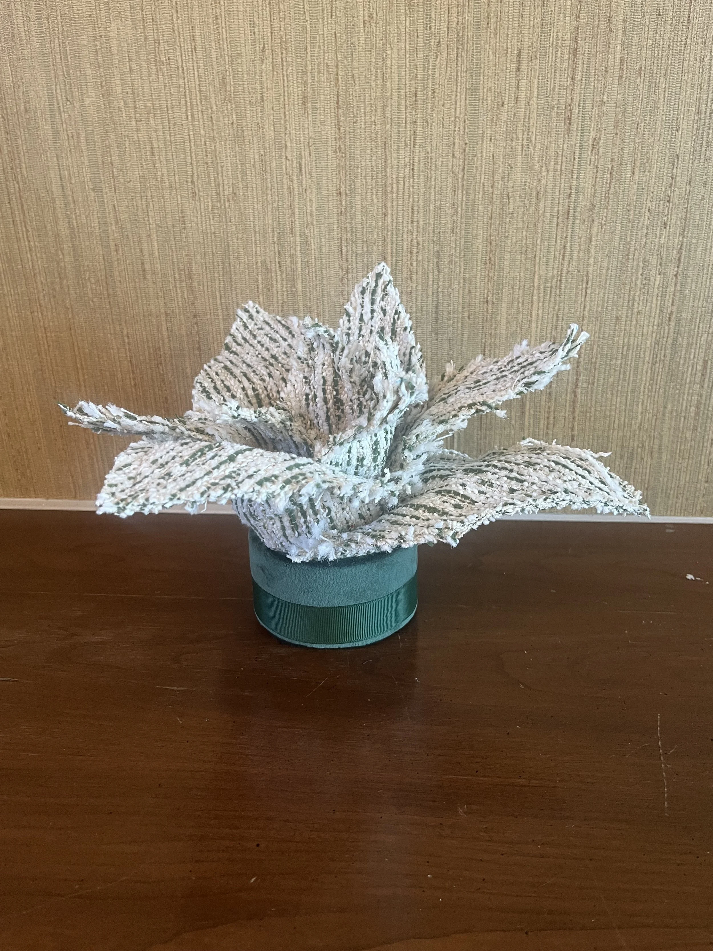 Green and White Agave