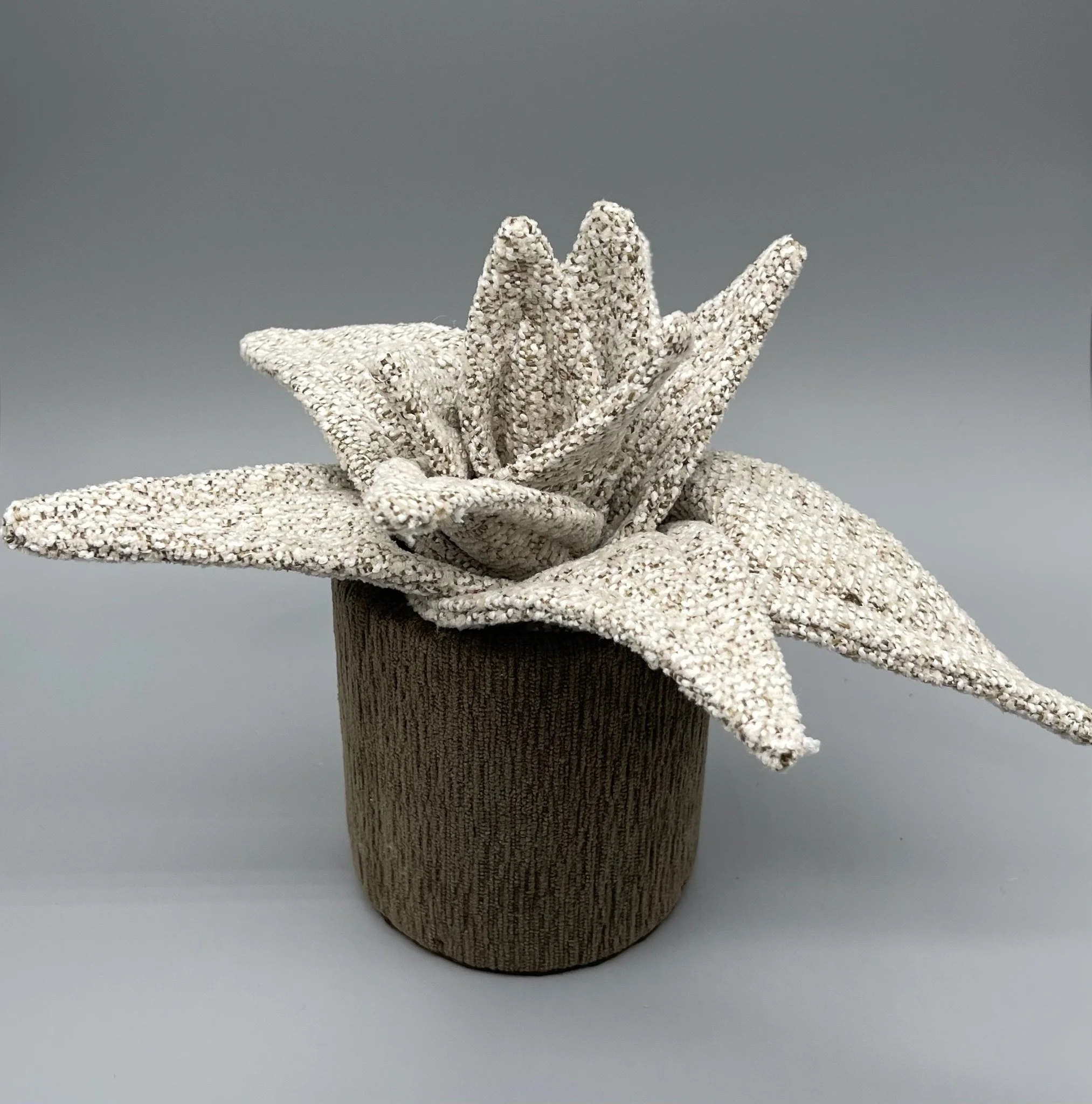 Beautiful Neutrals Agave Plant