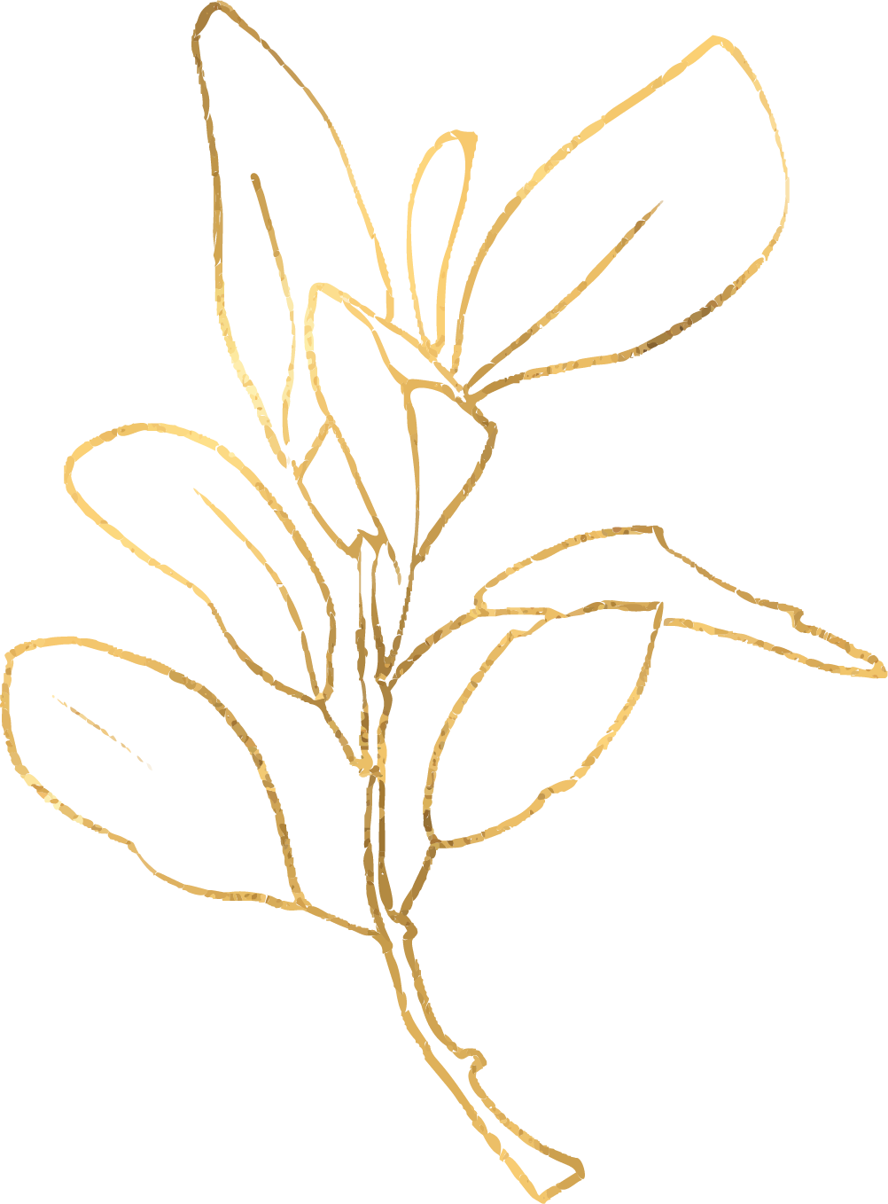 gold leaf sapling