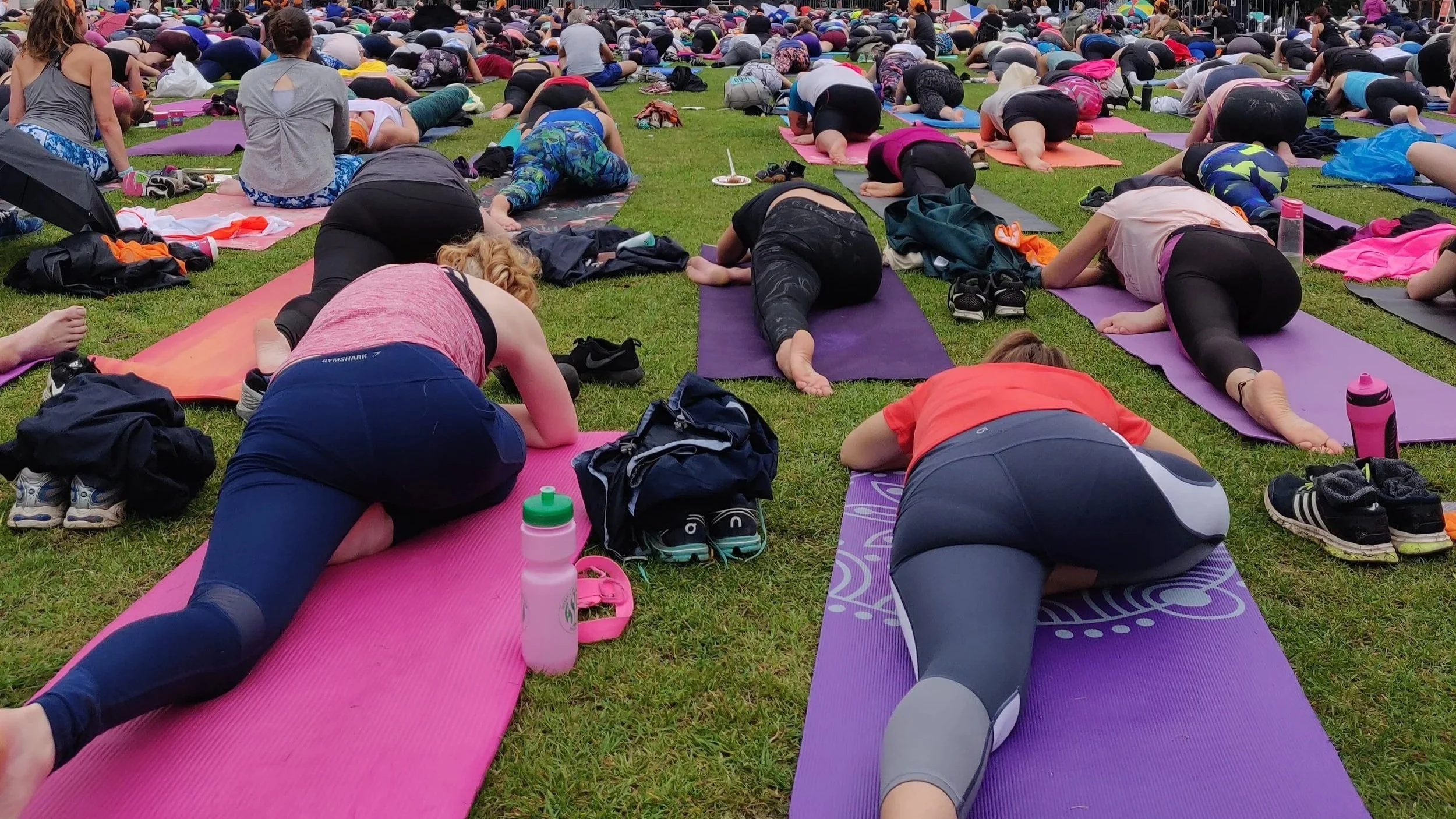 New or returning to yoga? You’re in the right place ✴︎  