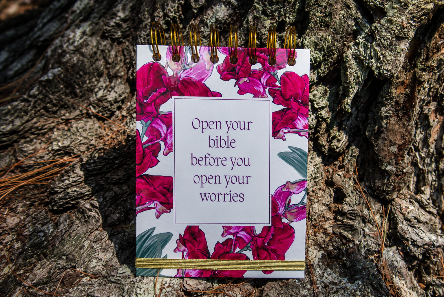 Open Your Bible Before You Open Your Worries | Guided S.O.A.P. Bible Study Journal