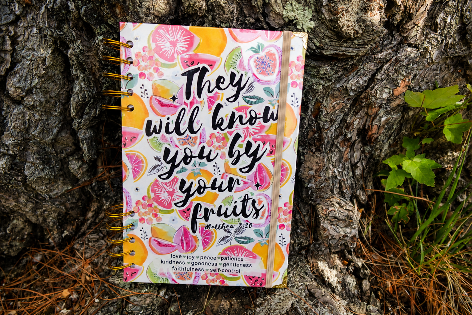 Fruits-of-the-spirit-christian-journal.png