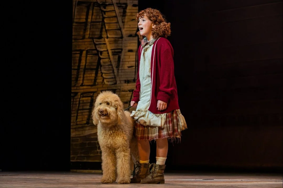 The sun will surely come out tomorrow for the 10 am performance of ANNIE at Aurora Theatre! Don't miss your chance to see the heartwarming classic that proves optimism can change EVERYTHING. Join the spunky orphan Annie, billionaire Oliver Warbucks, 