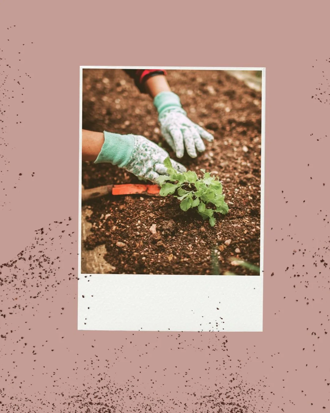 Extra Garden Kit (Optional)