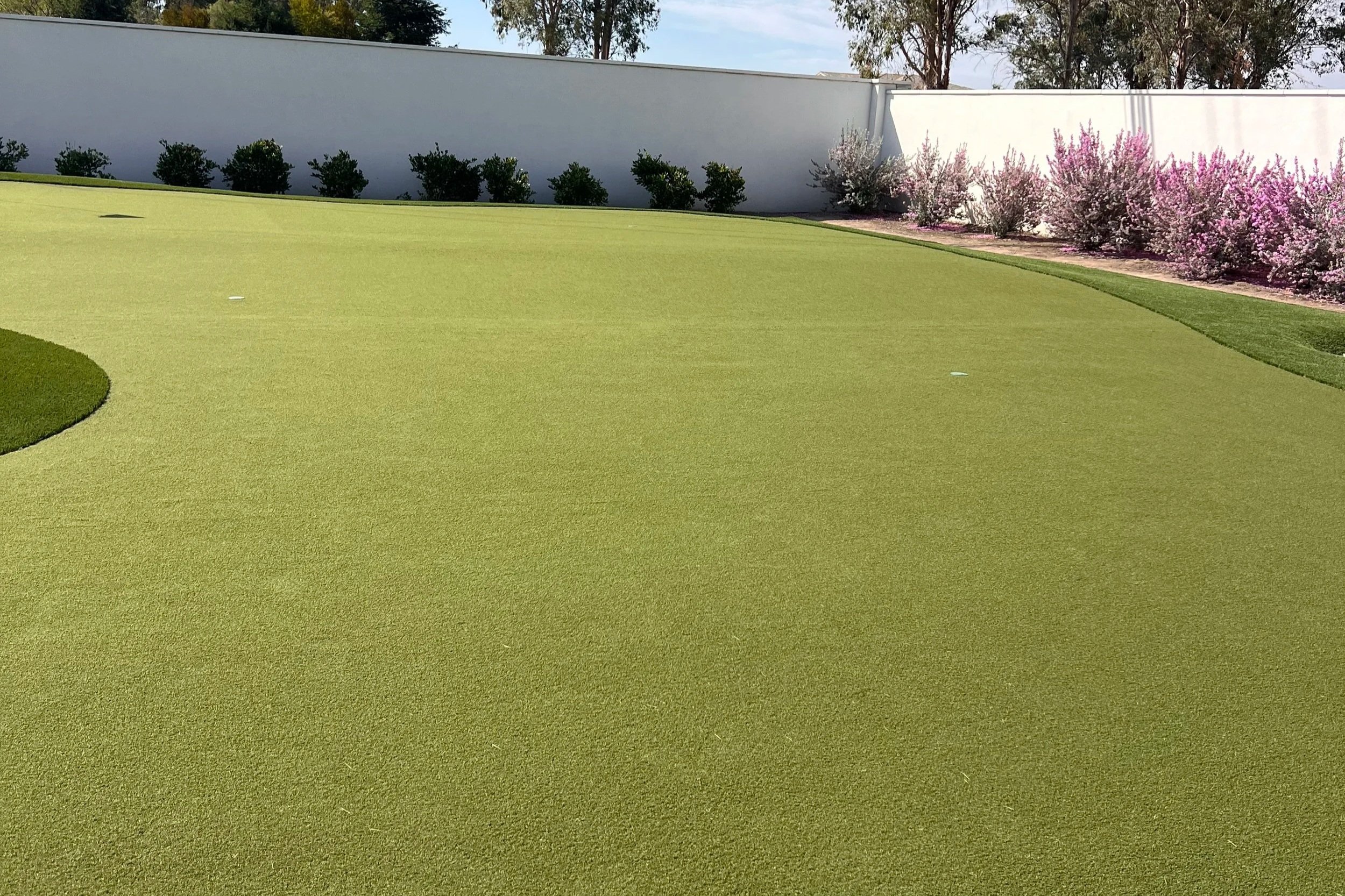 A well-maintained putting green on a golf course with a white wall and flowering bushes in the background.