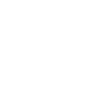 STU 22