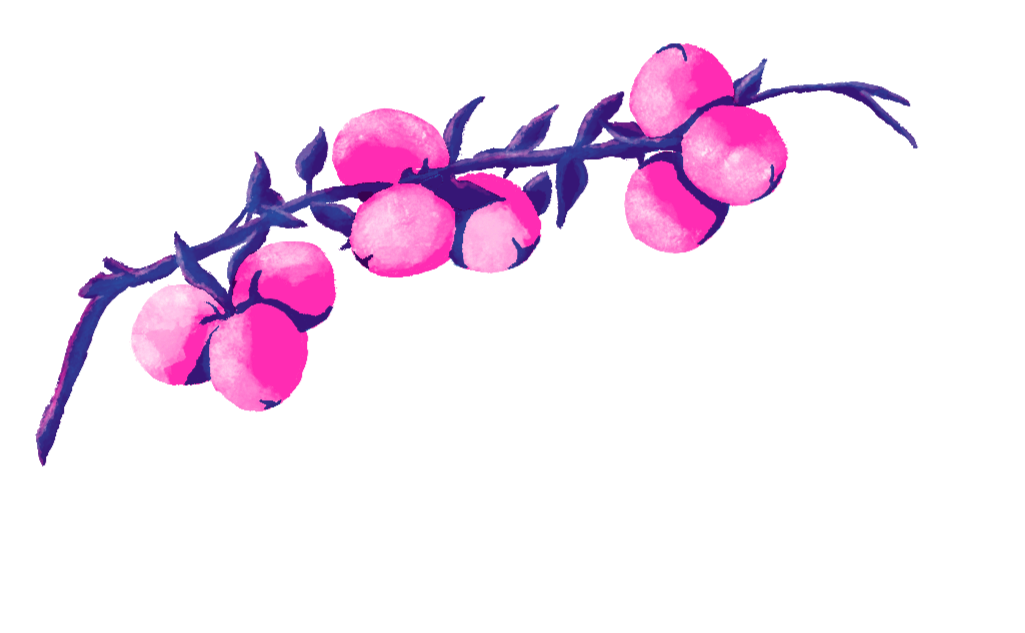PNG of Fruit branch illustration
