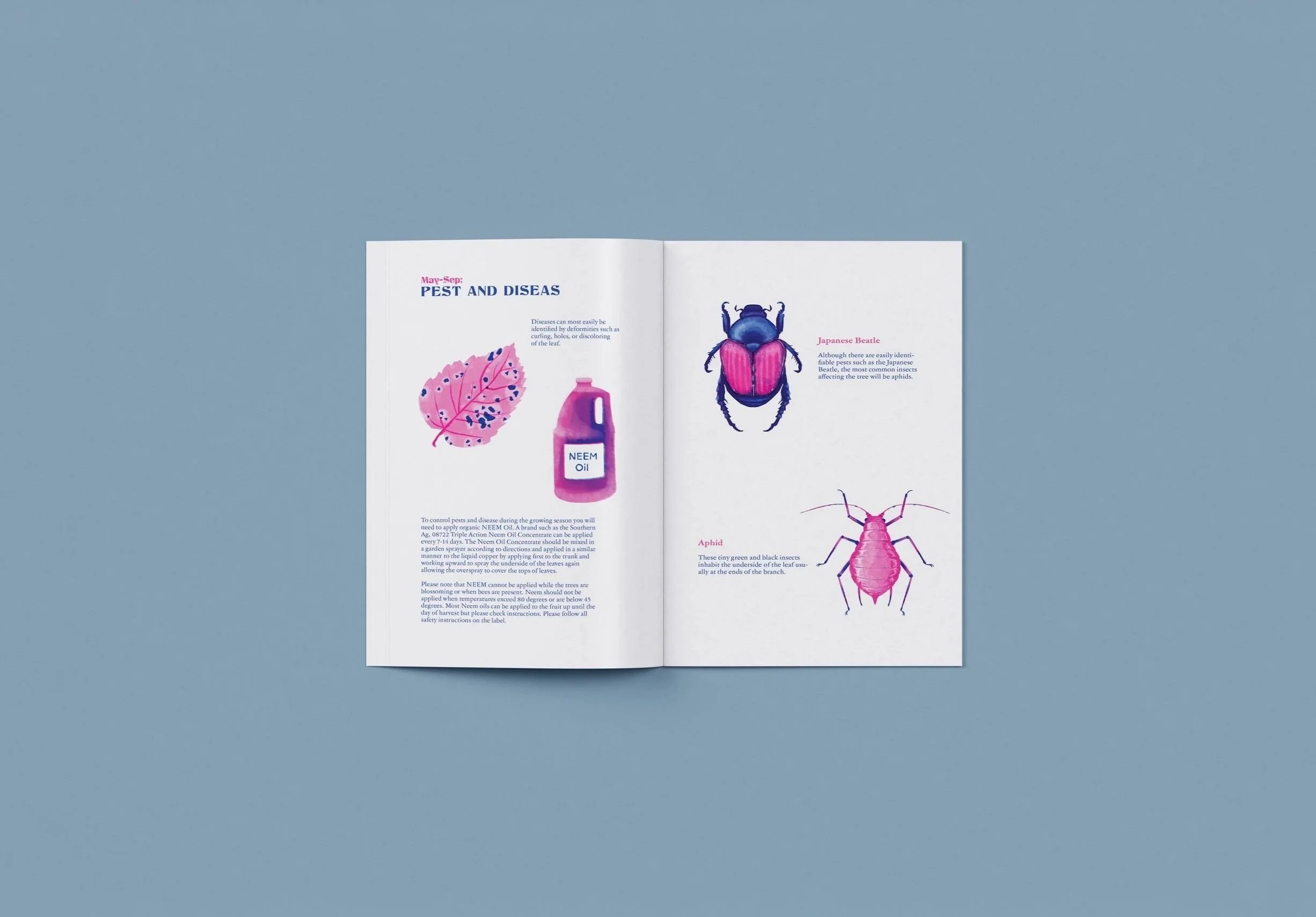 11th and 12th spread of TOFF