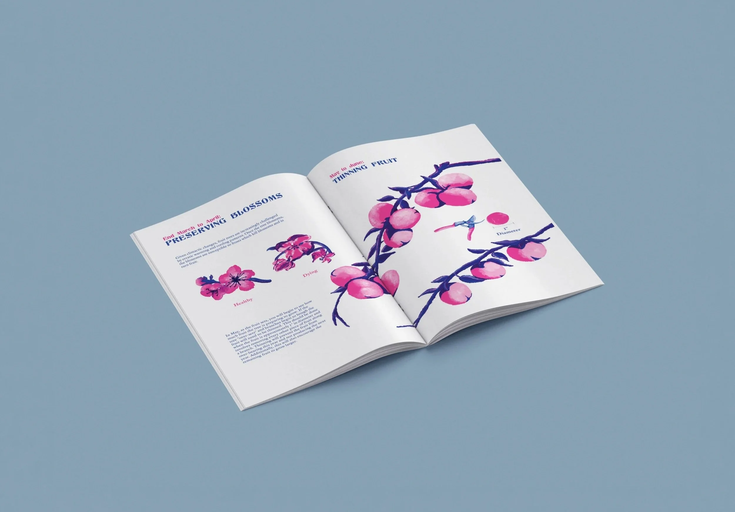 9th and 10th spread of TOFF